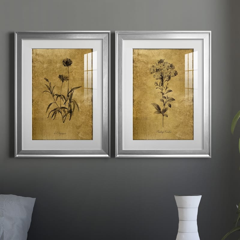 Gold Sketch Botanical I Premium Framed Print - Ready to Hang