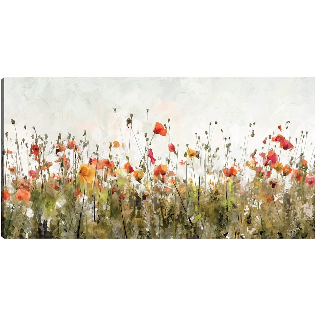 Poppy Parade on White By Studio Arts Canvas Art Print