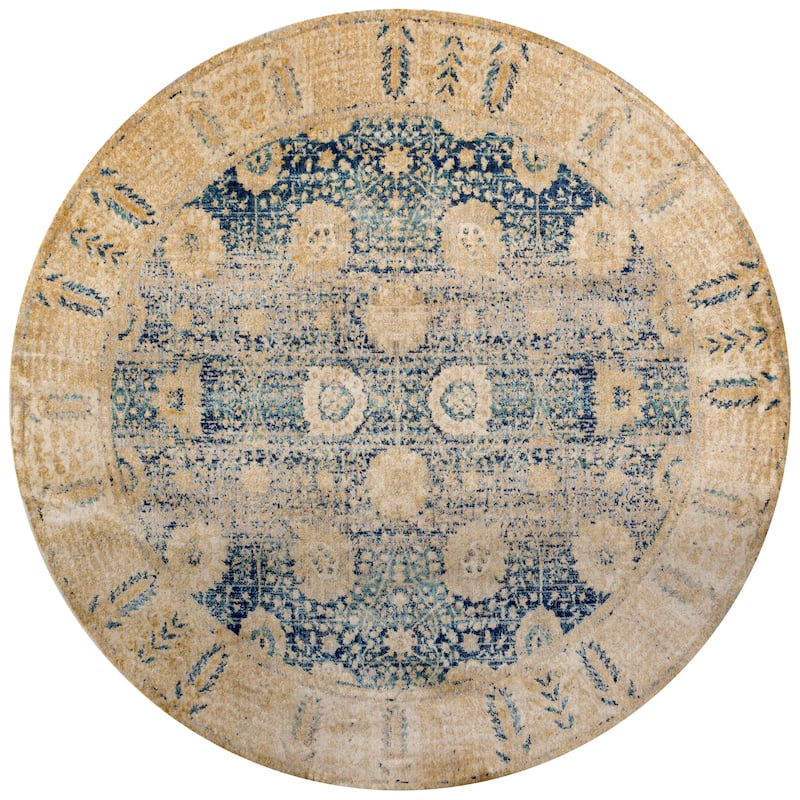Alexander Home Contessa Traditional Floral Distressed Border Rug - 9' 6" x 9' 6" - Blue/Gold - Round