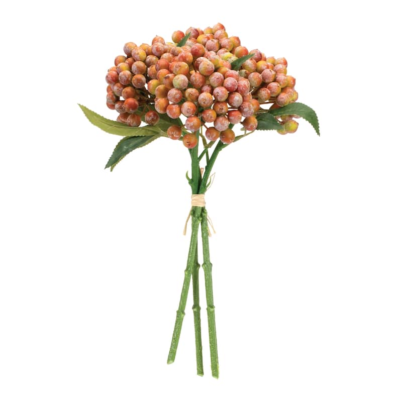 Orange Berry Bundle (Set of 2) - Orange, Pink, Green