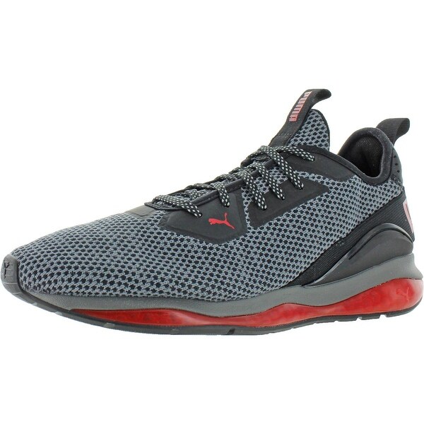 puma cell descend