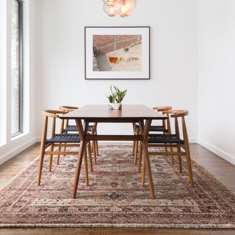 Alexander Home Contessa Traditional Medallion Distressed Rug