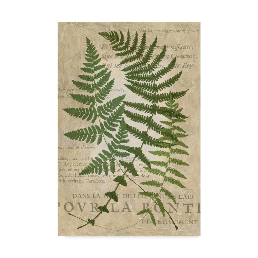 Vision Studio 'Fern Folio I' Canvas Art