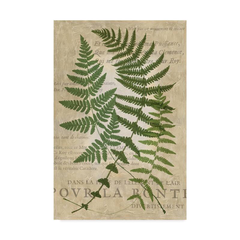 Vision Studio 'Fern Folio I' Canvas Art
