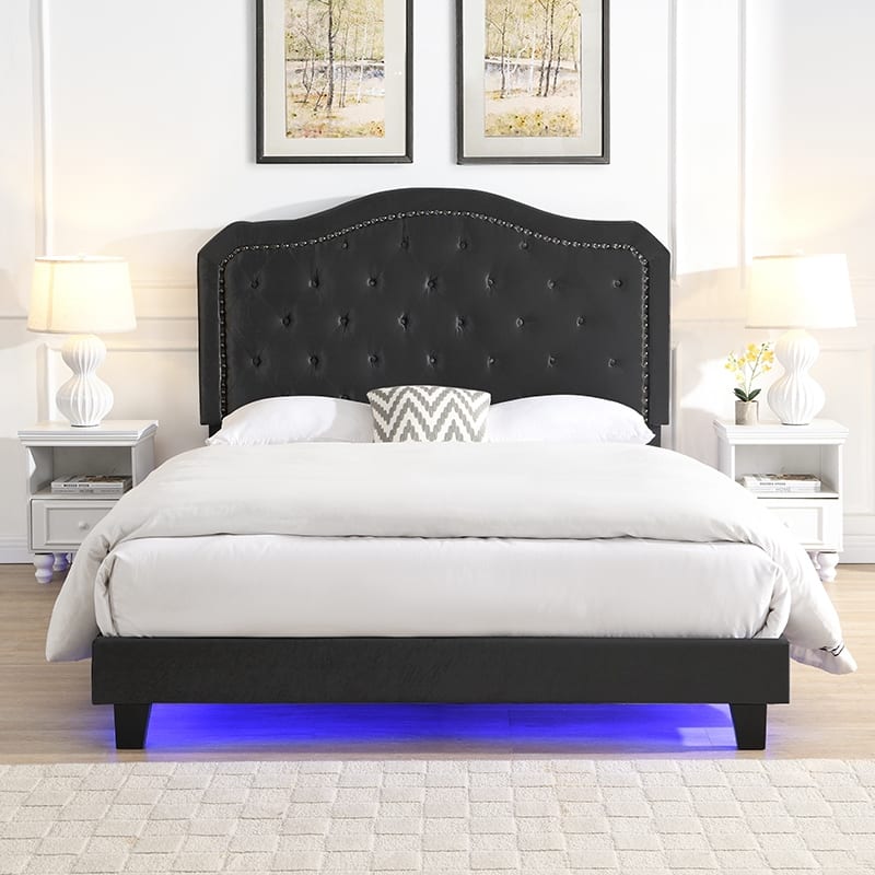 Queen Size Upholstered Platform Bed with LED Lights and Black Velvet