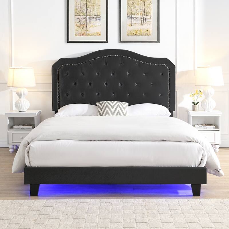 Upholstered Bed Button Tufted with Curve Design - Strong Wood Slat Support - Velvet - with LED Light-Platform Bed - Queen Size