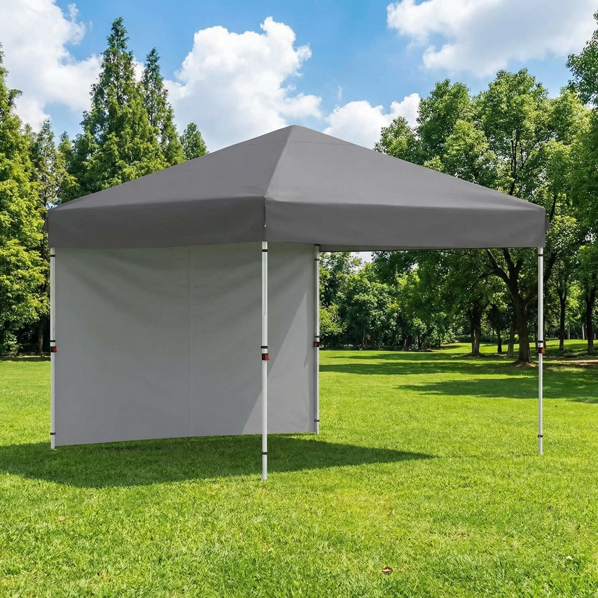 10x10 ft Instant Pop-Up Canopy Shelter, with 1 Sidewalls