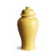 Option Yellow