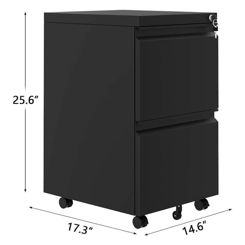 2-Drawer Mobile File Cabinet with Lock for Home Office - N/A