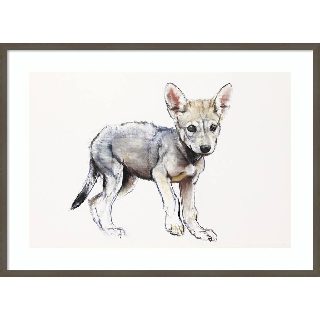 Hesitating Arabian Wolf Pup by Mark Adlington Wood Framed Wall Art Print