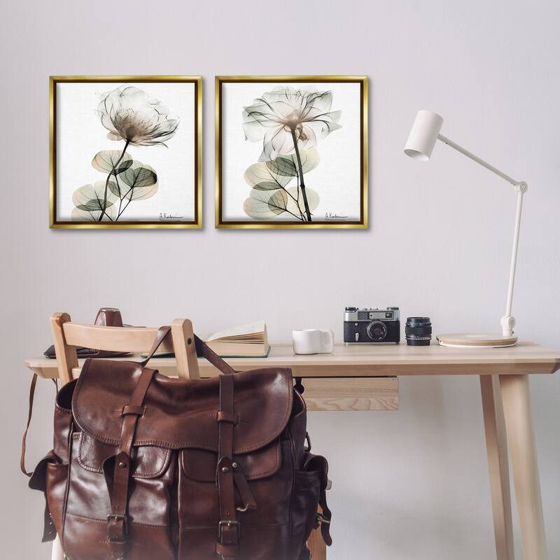 Stupell Cream Transparent Floral Framed Floater Canvas Wall Art Design By Albert Koetsier (Set of 2)