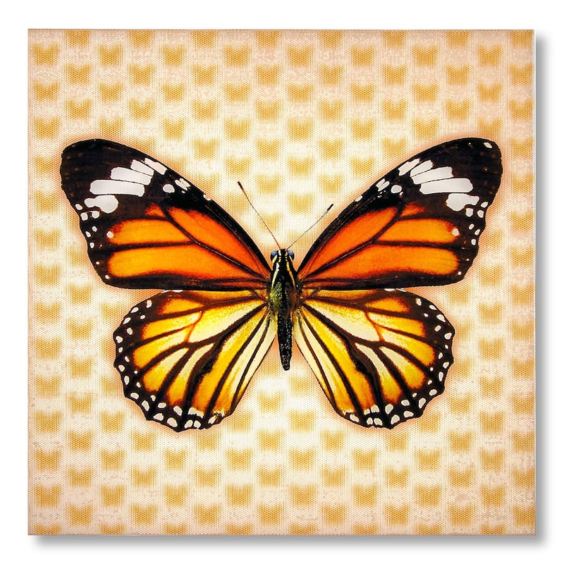 Matashi 5D Multi-Dimensional Wall Art - Custom Made 5D Monrach Butterfly Wall Art Print