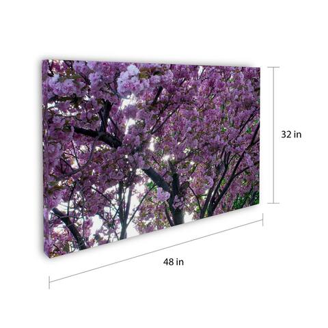 Copper Grove Dan Wilson 'Spring Flowers' Gallery Wrapped Canvas Art