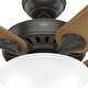 preview thumbnail 14 of 19, Hunter 52" Pro's Best Traditional Ceiling Fan with LED Light Kit and Pull Chain - DC Motor - ENERGY STAR!