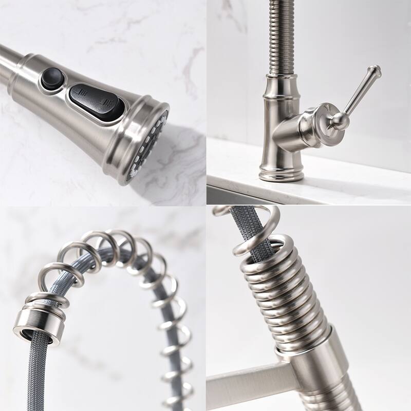Spring Neck Single-Handle Pull-Down Sprayer Kitchen Faucet