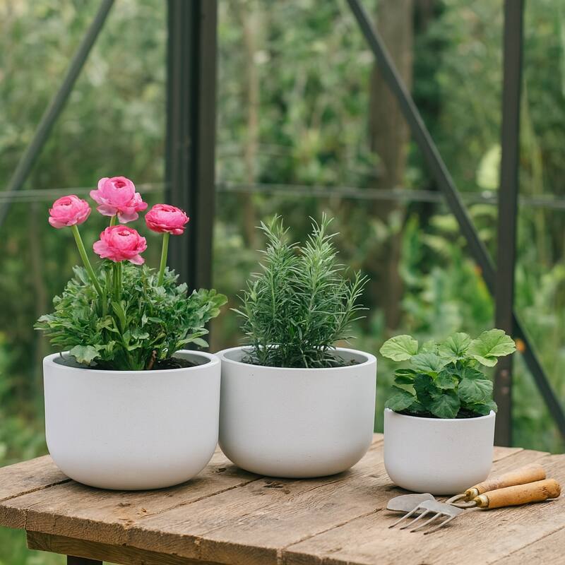 Pottery Rounded Cement Planters (Set of 3) - 11", 8", 6" White - 15" x 15" x 11"