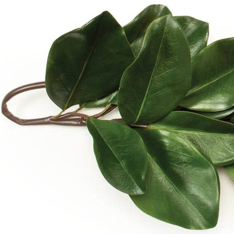 HomeRoots 60" Brown And Green Linear Magnolia Leaf Wreath Garland