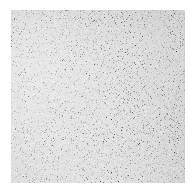 Genesis Printed Pro White 2 x 2 ft. Lay-in Ceiling Tiles - 6in x 6in Sample