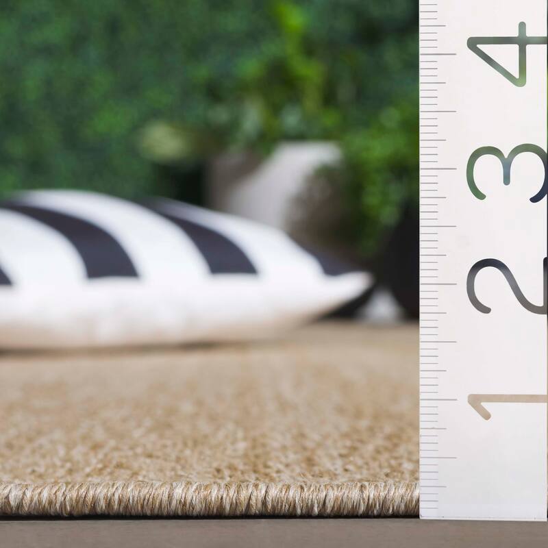 SAFAVIEH Sisal Orlie Performance Indoor/Outdoor Rug