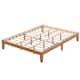 Option Pine