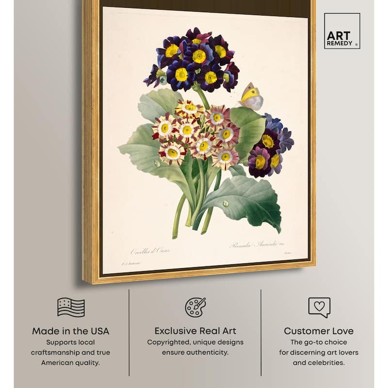 Auricula Varieties Canvas by Art Remedy
