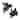 Hogbadi Black Resin Flying Pigs Decorative Wall Accents, Set of 2