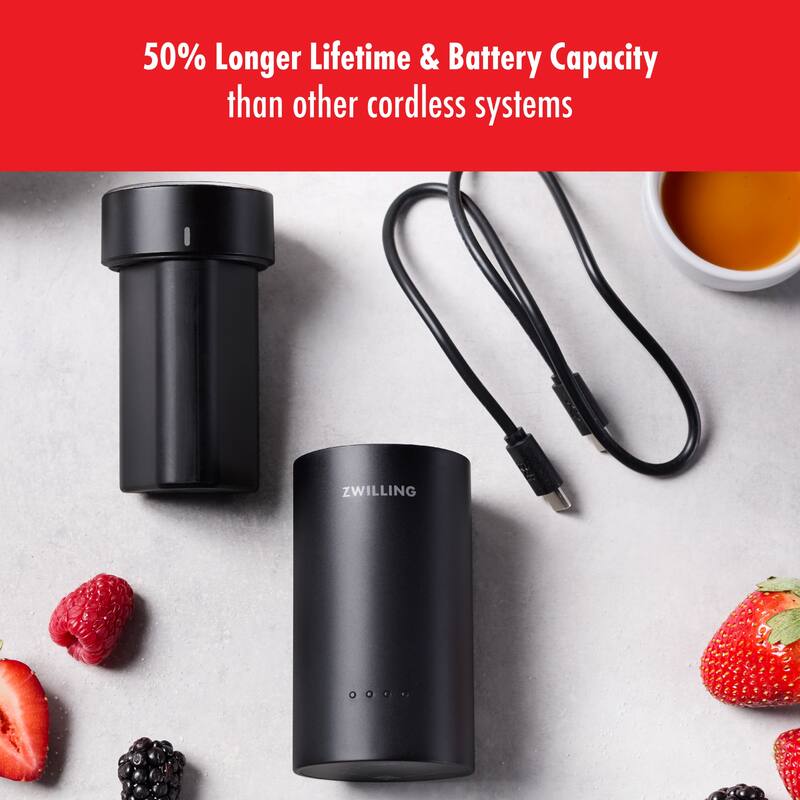 ZWILLING Xtend Battery and Charger Set - Black - 2-pcs