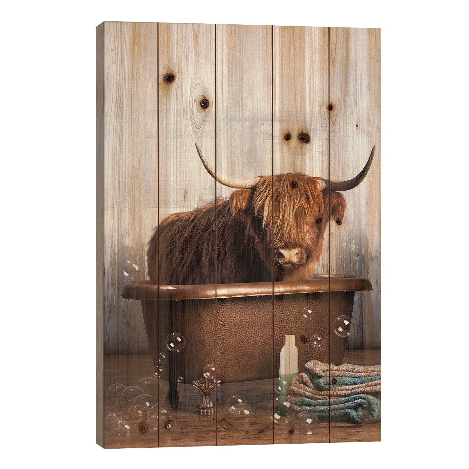 Highland Cow In The Tub Print On Wood by Domonique Brown - Multi-Color