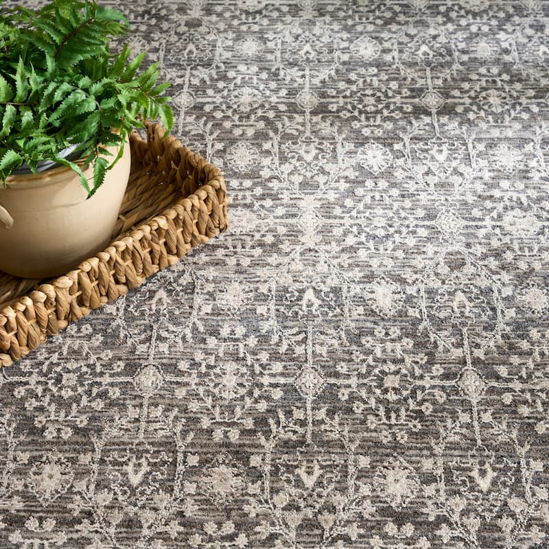 Nourison Shadows Indoor only Persian Vintage Area Rug
