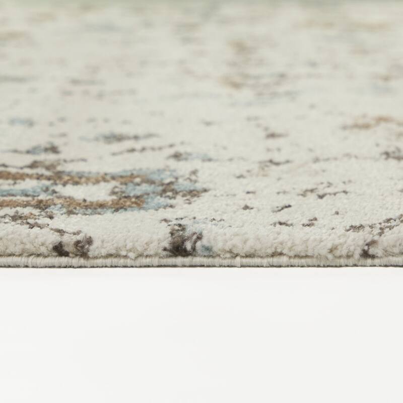 Ptolemy Distressed Transitional Area Rug