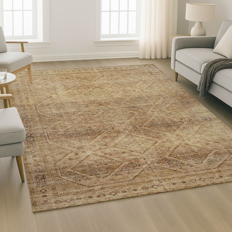 Premium Washable Super Soft Boho Moroccan Mayfield Rug