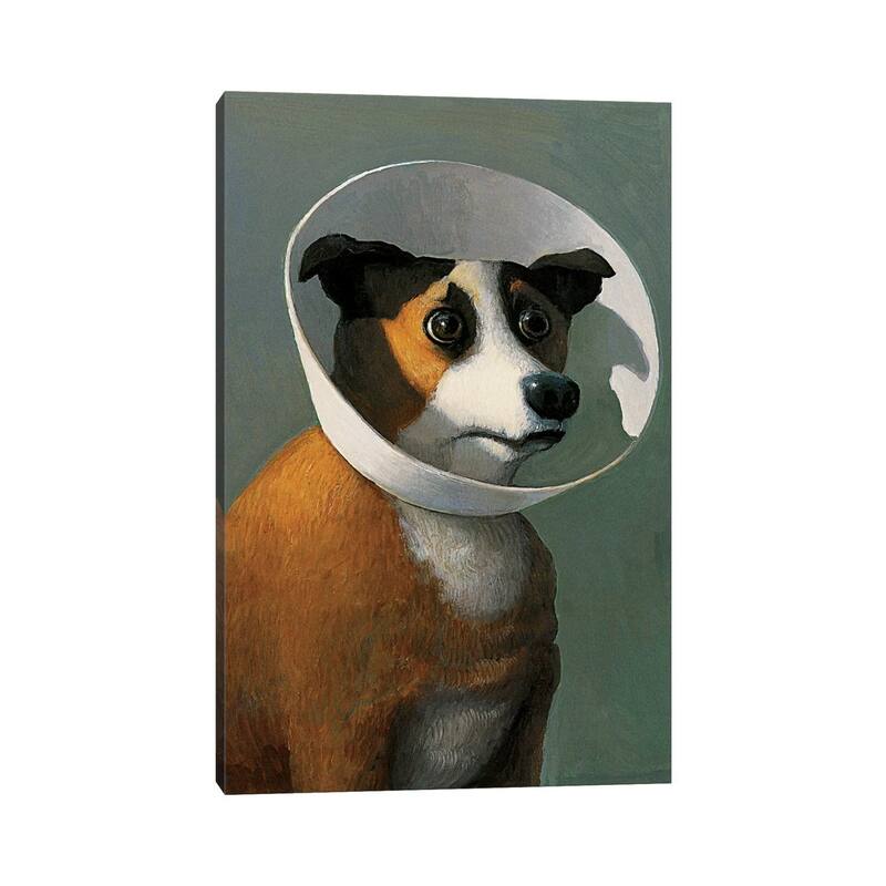 iCanvas "Ill Dog" by Michael Sowa Canvas Print