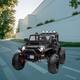 Option Black