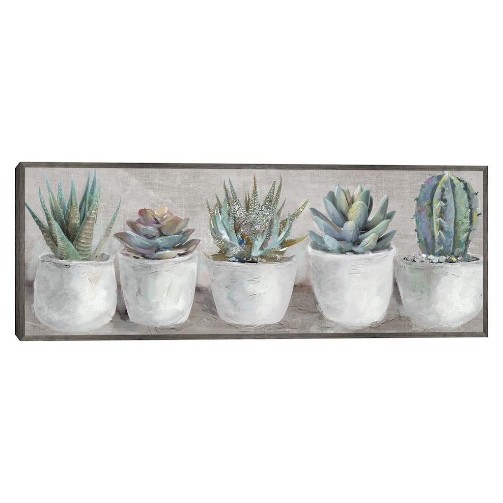 Potted Gems By Studio Arts Canvas Art Print