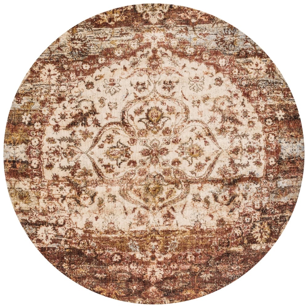 Alexander Home Contessa Distressed Transitional Medallion Rug
