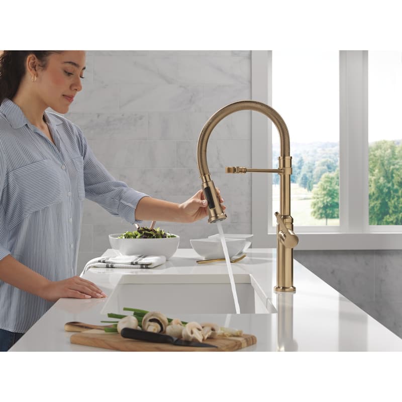 Delta 18829-DST Rhett 1.8 GPM Single Hole Pre-Rinse Pull Down Kitchen