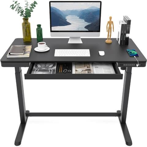 FlexiSpot Home Office Electric Height Adjustable Desk 48" Width Standing Desk Computer Desk Wooden Top With Drawer, USB Charged
