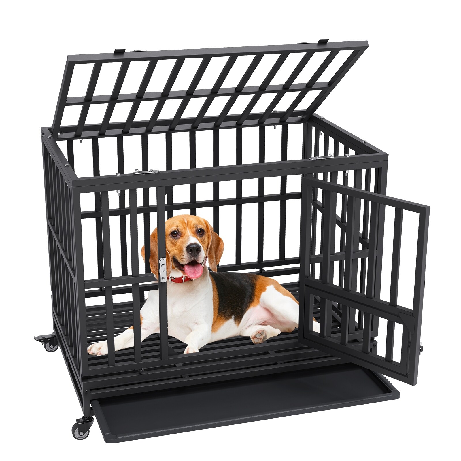 Overstock dog 2024 crate