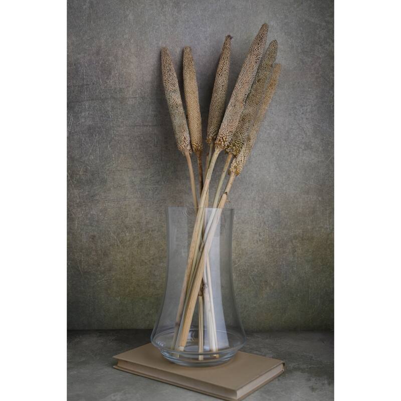 Bazra Paper Wrapped Bunch Artificial Plant - 30.75" - Brown - Set of 7