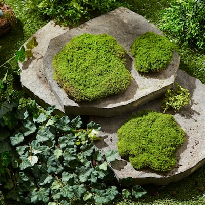 Artificial Moss Pad - 9.5" - Green and Brown - Set of 3