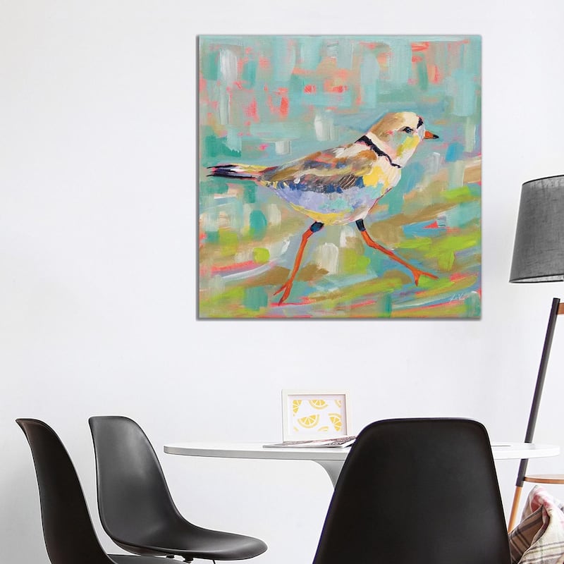 iCanvas "Coastal Plover I" by Jeanette Vertentes Canvas Print - 37x37x1.5