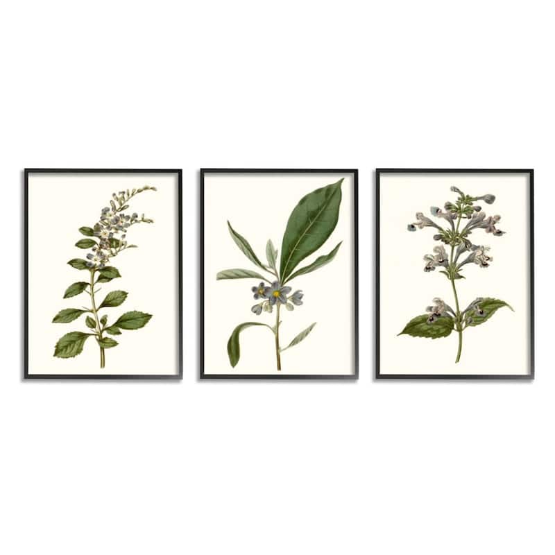 Stupell Minimal Blue Botanical Study Over Neutral Beige, 3pc Multi Piece Framed Wall Art Set