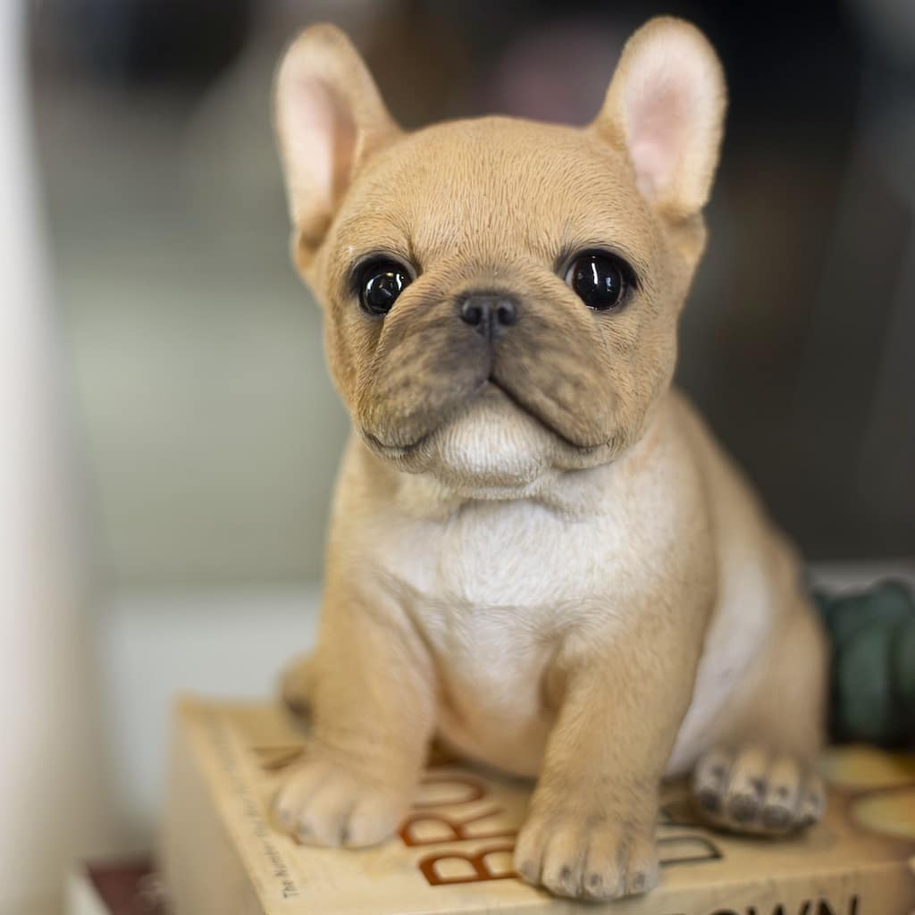 Sitting French Bulldog Puppy Outdoor Statue - 6.25" - Beige and White