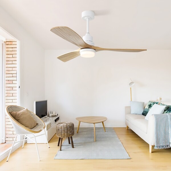 Decorative ceiling fan globes top