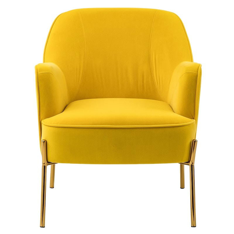 Barbara Modern Velvet Accent Chair for Bedroom with Metal Legs by HULALA HOME