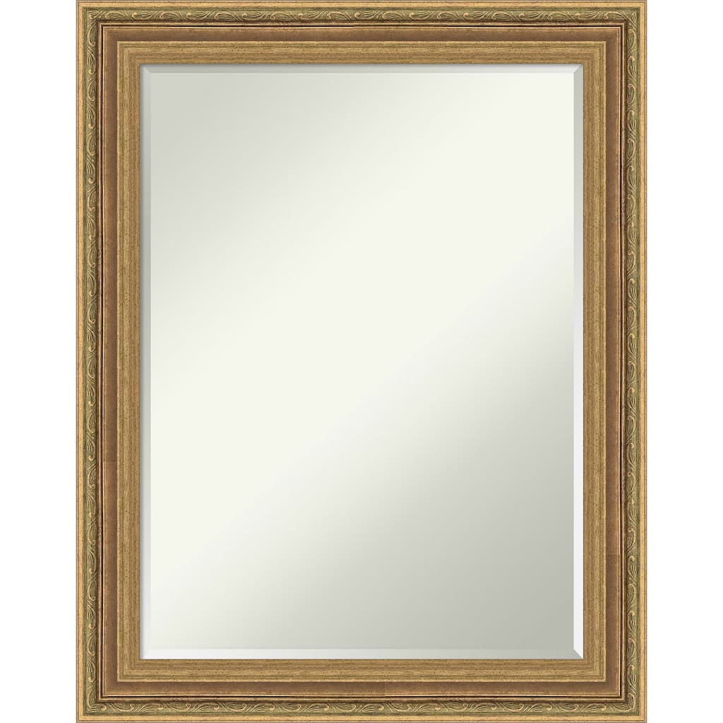 Elliot Half-Inch-Bevel Framed Wall Mirror - Elliot Gold - 23 x 29 in
