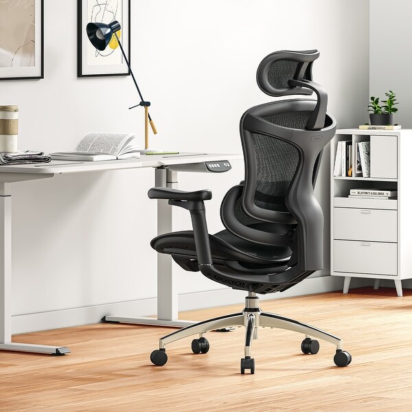 SIHOO Ergonomic Ofiice Chair Doro-C300, Auto-Adaptive Lumbar