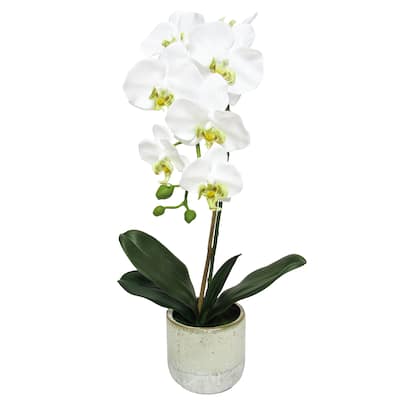 White Artificial Phalaenopsis Orchid Flower Arrangement in Half Glazed Ceramic Pot 22in - 22" H x 9" W x 6.5" DP