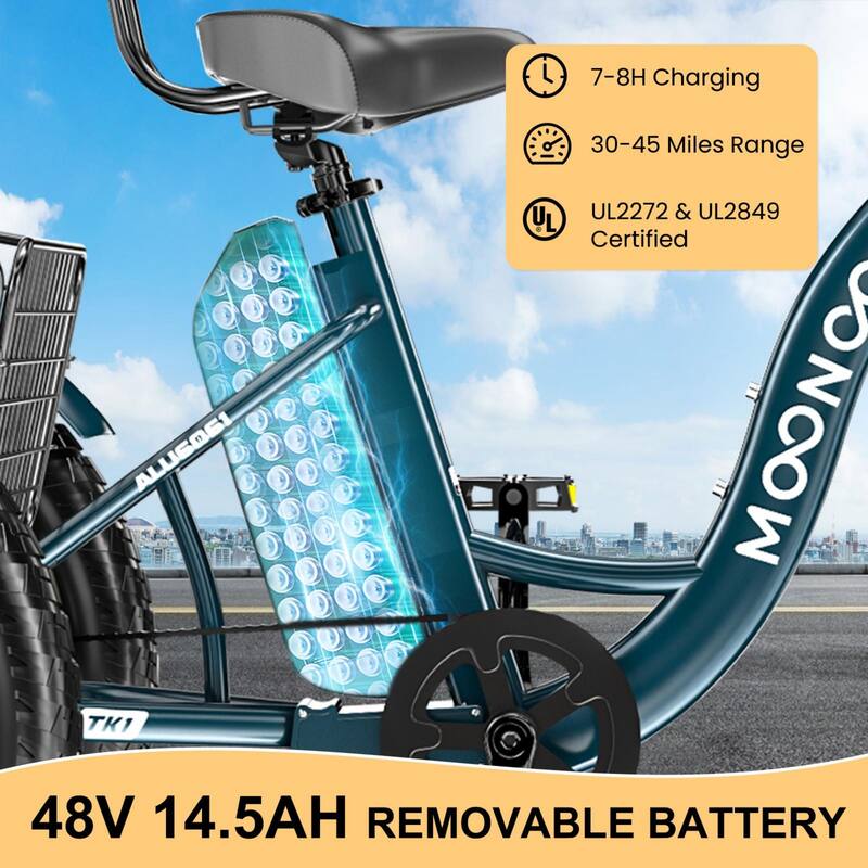 DoCred 20"x4" Fat Tire Electric Tricycle, 48V 500W with 7 Speed Ebike