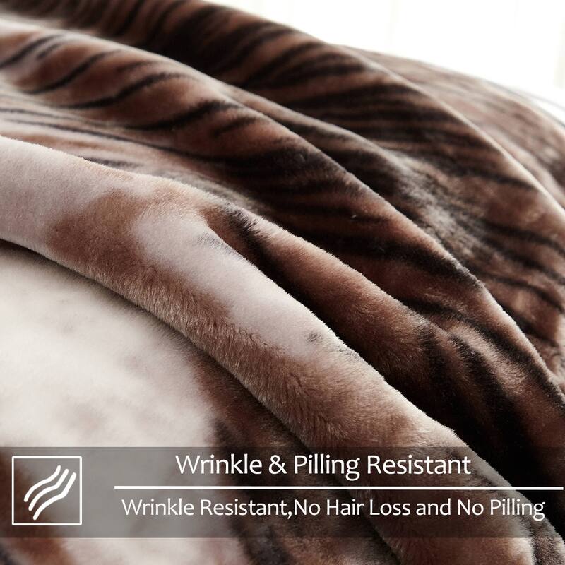 Raschel A&B Printed 2-ply Reversible Korean-style Plush Fleece Blanket